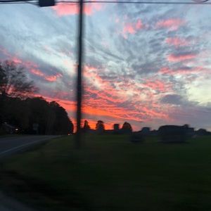 Meet your Posher, Libbie